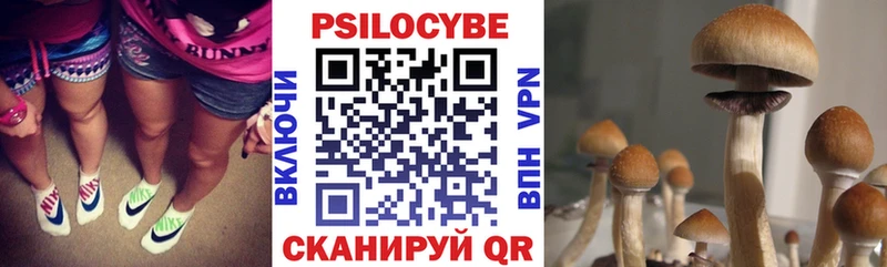 как найти закладки  omg сайт  Галлюциногенные грибы MAGIC MUSHROOMS  Усть-Кут 